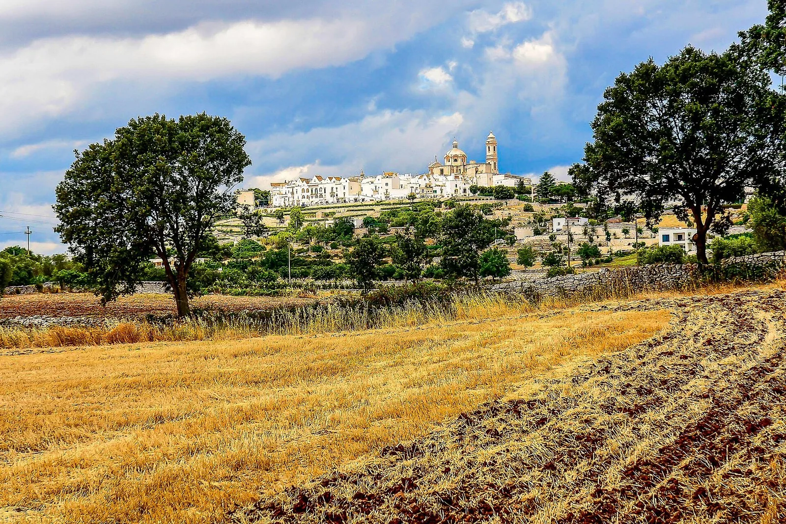 Panorama di Locorotondo visto dalla campagna della Valle d'Itria